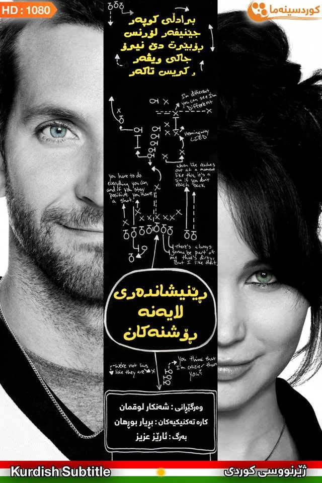 Silver Linings Playbook (2012)